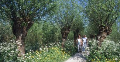 Verkiezing Mooiste wandeling 2020