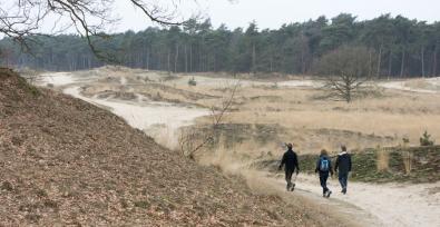 Loonse en Drunense Duinen