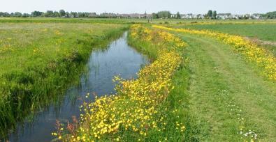 Wandelen in Noord-Holland