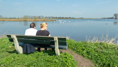 Zomerse wandelingen