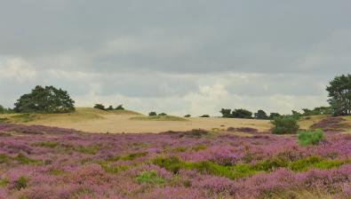 Wandel over het Aekingerzand