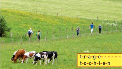 Wandelen in het Rijk van Nijmegen