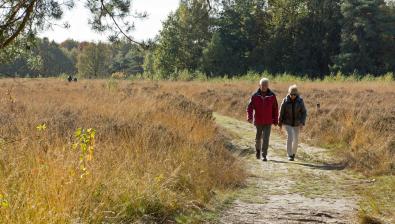 Wandelen in Drenthe