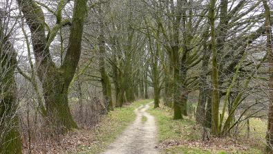 Rustige Trage Tochten en Groene Wissels