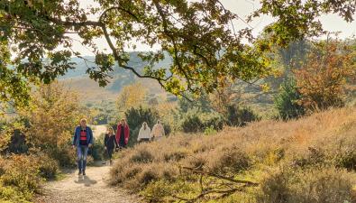 Wijziging Trage Tochten en Groene Wissels