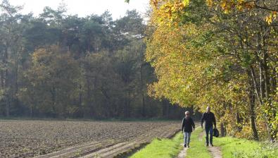 Lichte prijswijziging