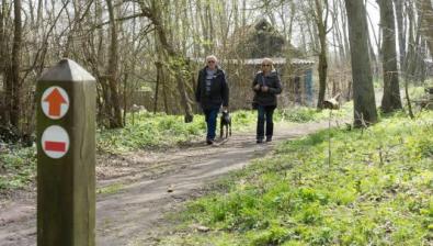 Wandeling van de maand