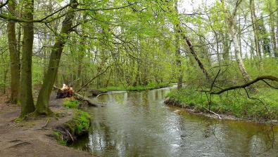 Lentewandelingen