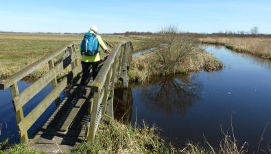 Wandeling van de maand