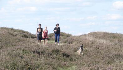 Wandelen met de hond