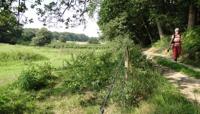 Wandelen in het Rijk van Nijmegen