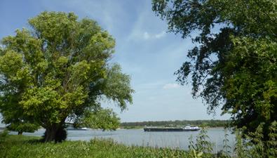 Wandel door het rivierenlandschap