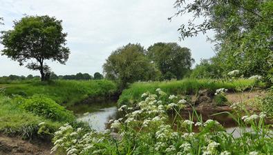 Wandelen in Twente