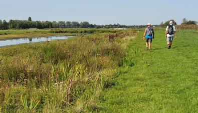 Zomerse wandelingen