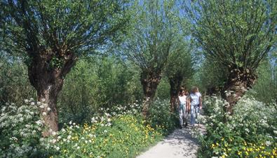 Wandelen in Zuid-Holland