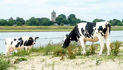 Wandeling van de maand