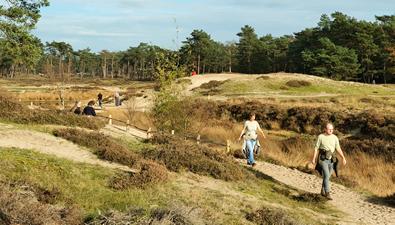 Mooiste wandelgebieden