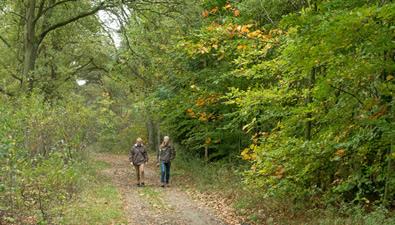 Wandeling van de maand