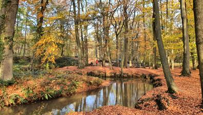 Herfstwandelingen