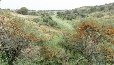 Wandeling van de maand