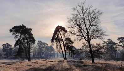 Wandeling van de maand