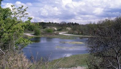 Wandelen op Voorne