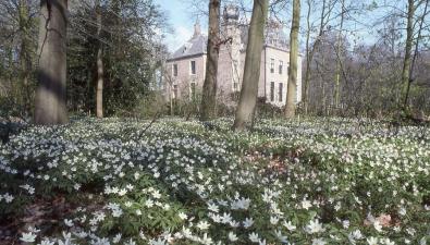 Landgoedwandelingen