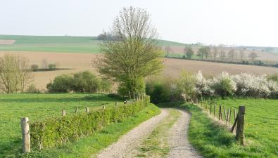 De mooiste lentewandelingen