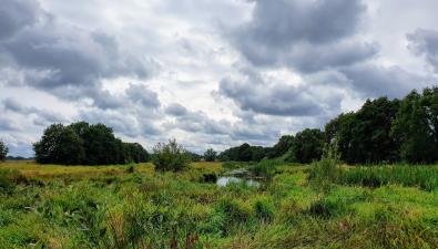 Wandelen in het beekdal van de Ruiten Aa