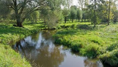 Wandeling van de maand