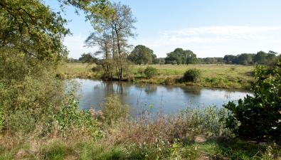 Wandelen langs de Overijsselse Vecht