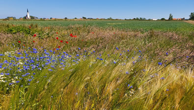 Wandeling van de maand