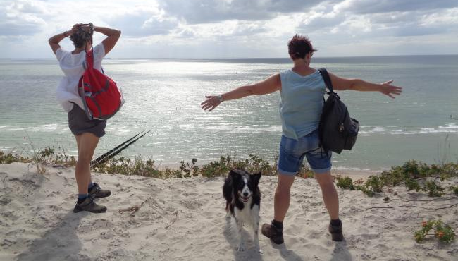 Zomerse wandelingen