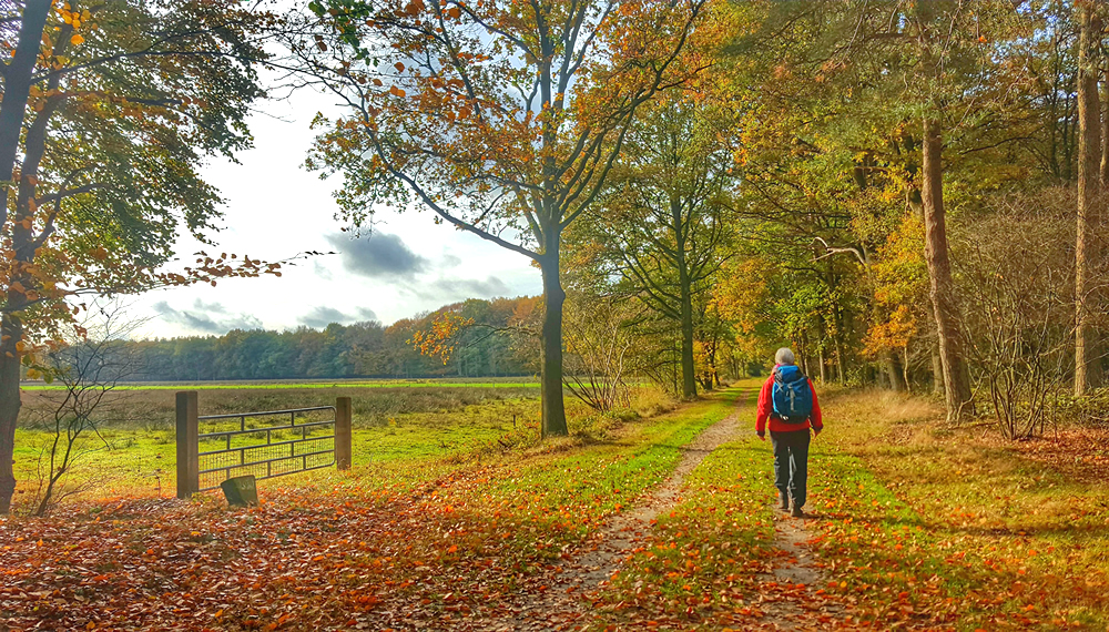 Wandeling van de maand