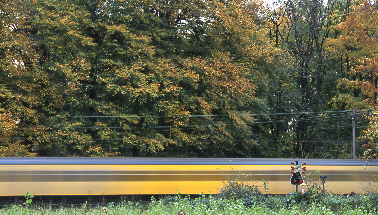 Herfstwandelen met NS