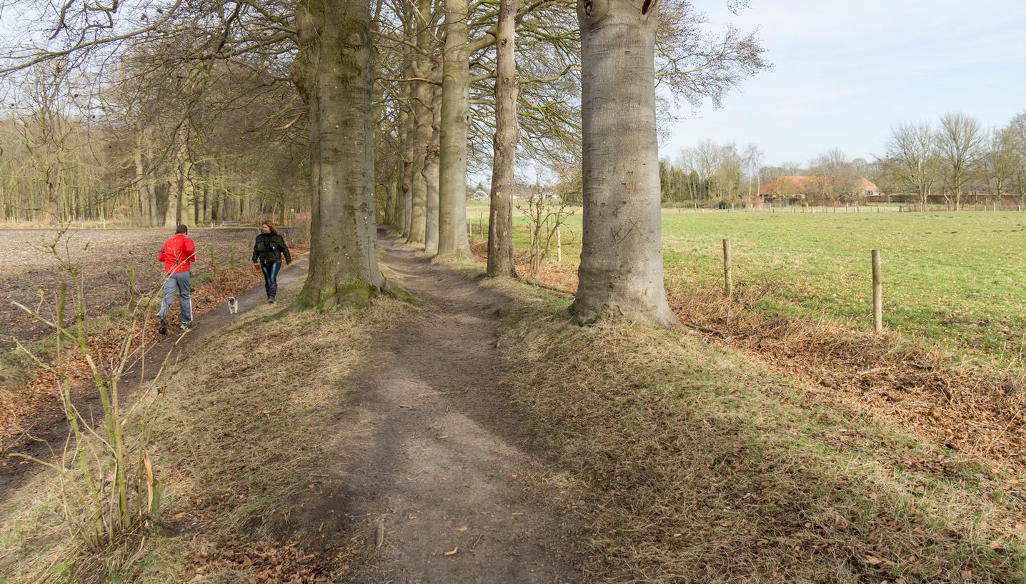 Wandeling van de maand