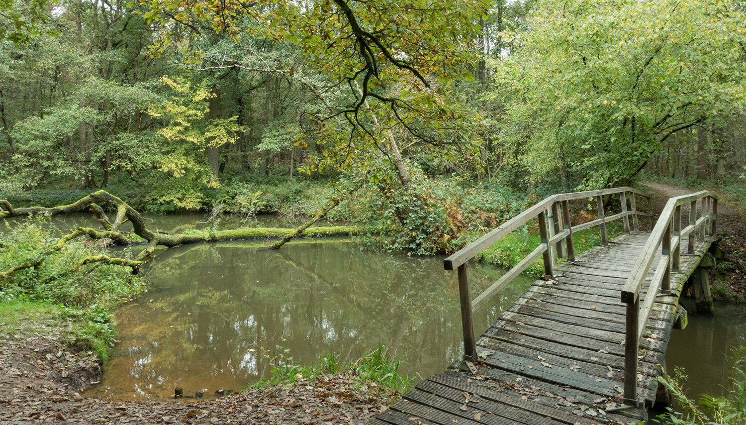 Wandelen in het Leudal