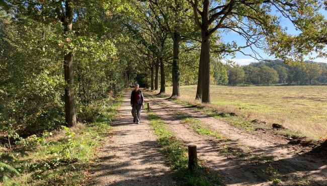 Rondom Zutphen