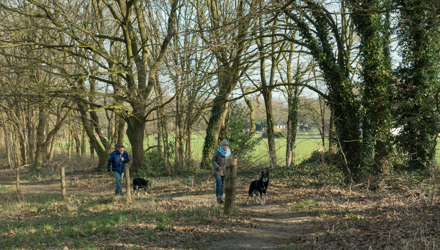 Wandelen in Noord-Limburg