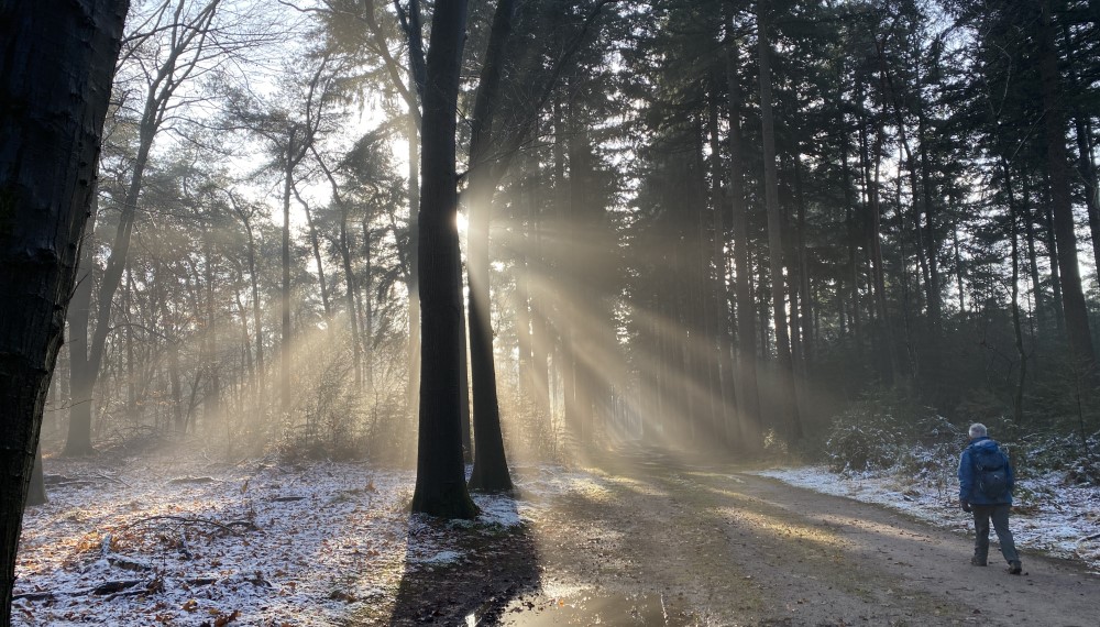 Wandeling van de maand