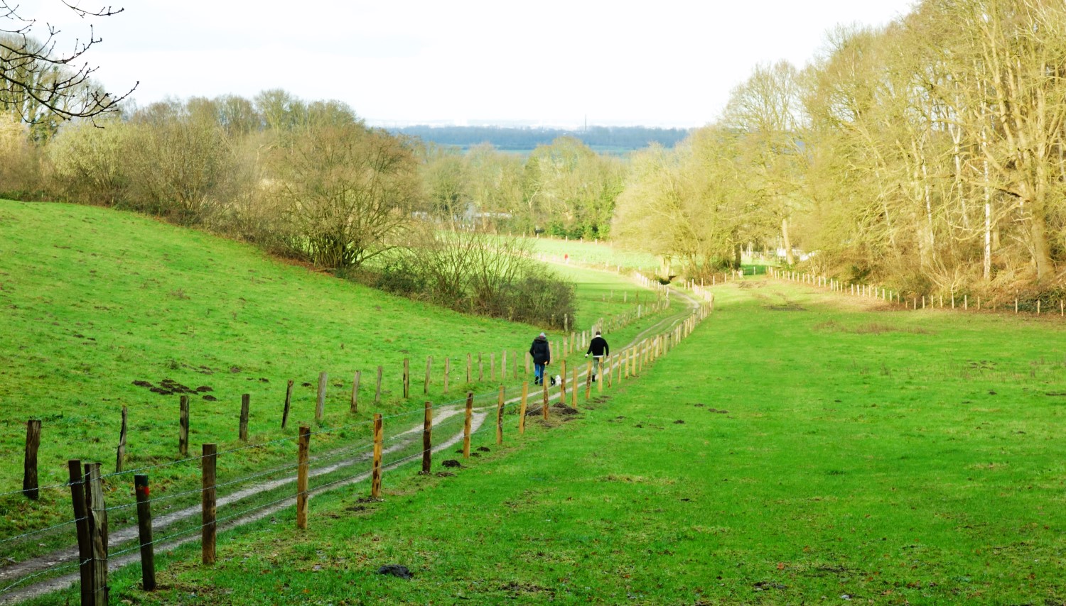 Wandelen in het Rijk van Nijmegen