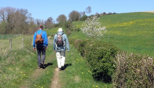 De mooiste lentewandelingen