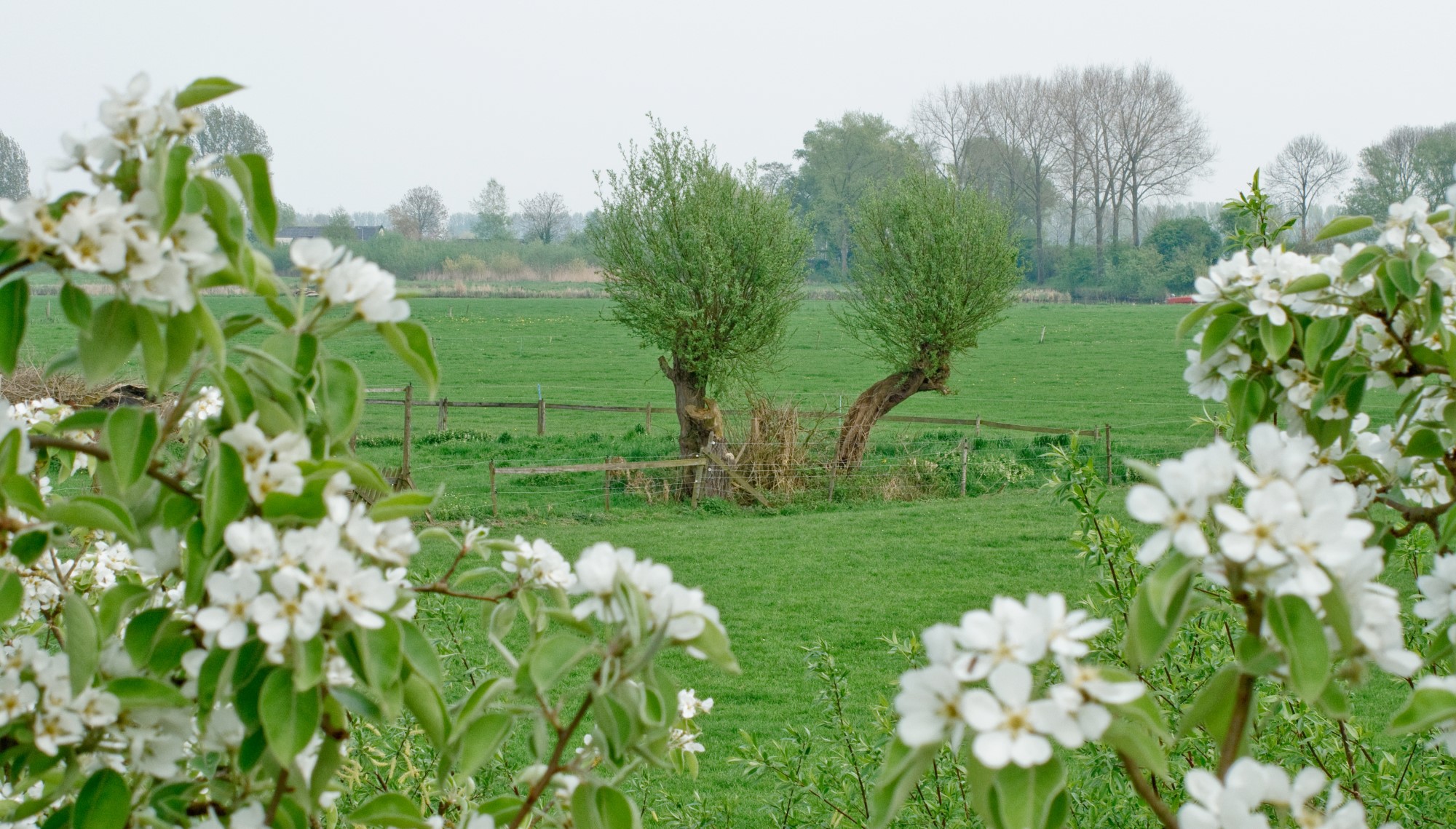 Wandeling van de maand