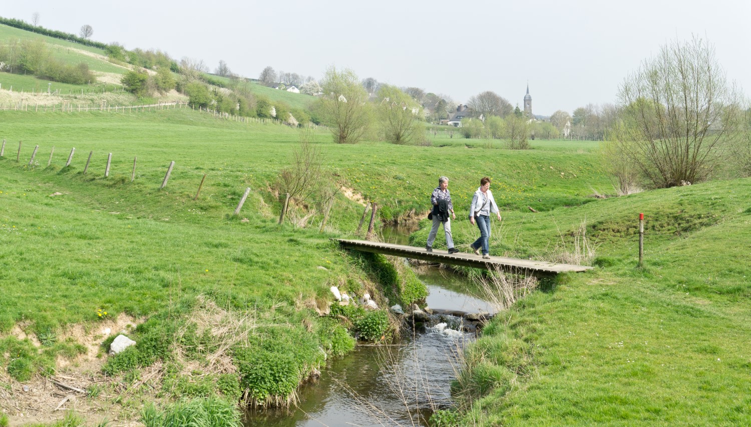 Bergen en beekjes in Limburg