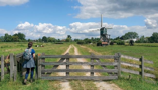 Molenwandelingen