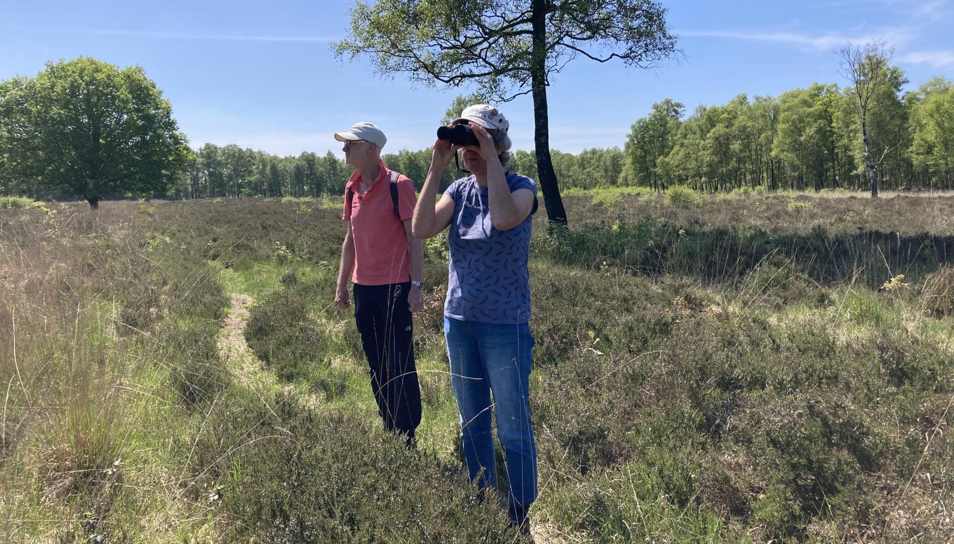 Lentewandelingen