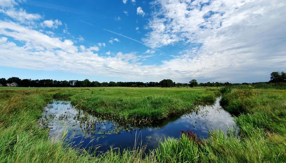 Wandeling van de maand