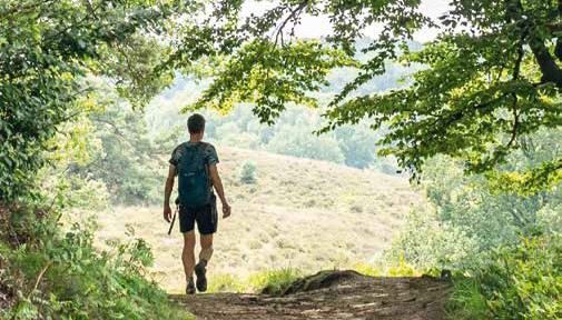 Een wandeling rondom de Veluwe