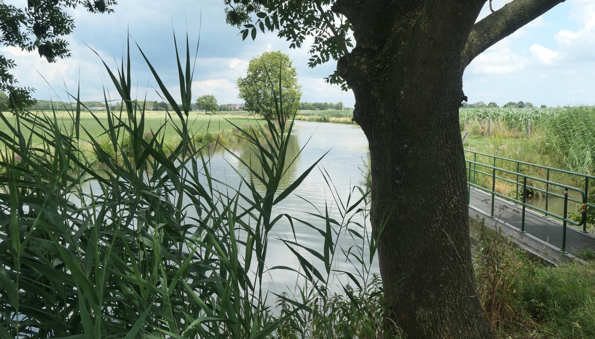 Wandeling van de maand