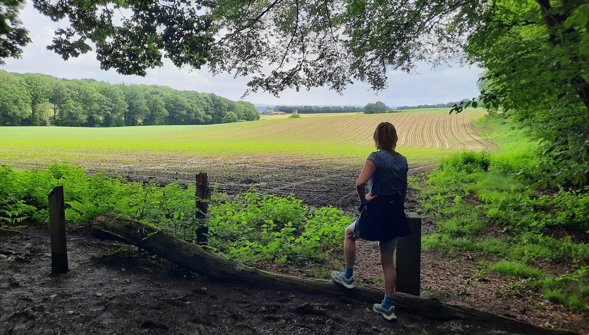 3 nieuwe Knopenrondjes